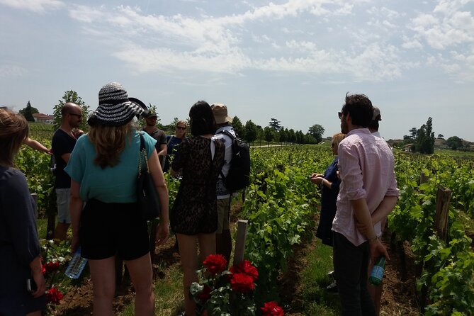 Saint Emilion Wine Tour Tasting Half Day from Bordeaux - Quick hits before you go