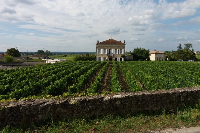 Saint Emilion Wine Tour Tasting Half Day from Bordeaux - Saint-Émilion village time: UNESCO streets and viewpoints
