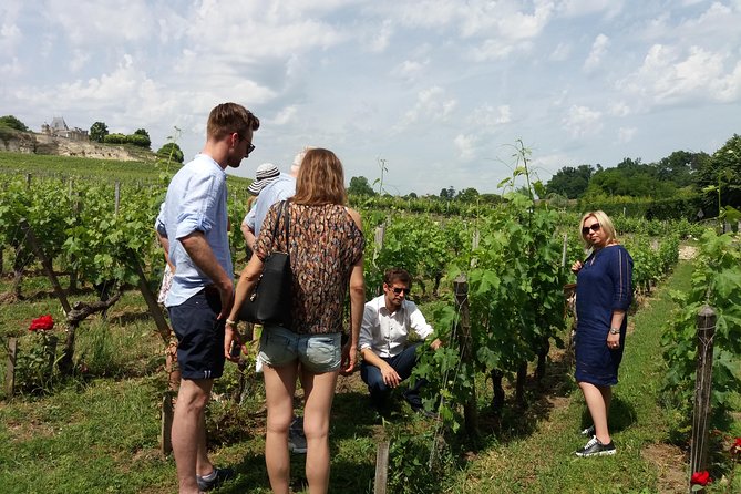 Saint Emilion Wine Tour Tasting Half Day from Bordeaux - Food and comfort: what to do about the snack-only situation