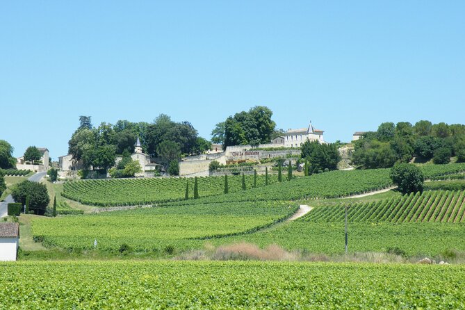 Saint Emilion Wine Tour Tasting Half Day from Bordeaux - Price and value: what $116.14 really buys you