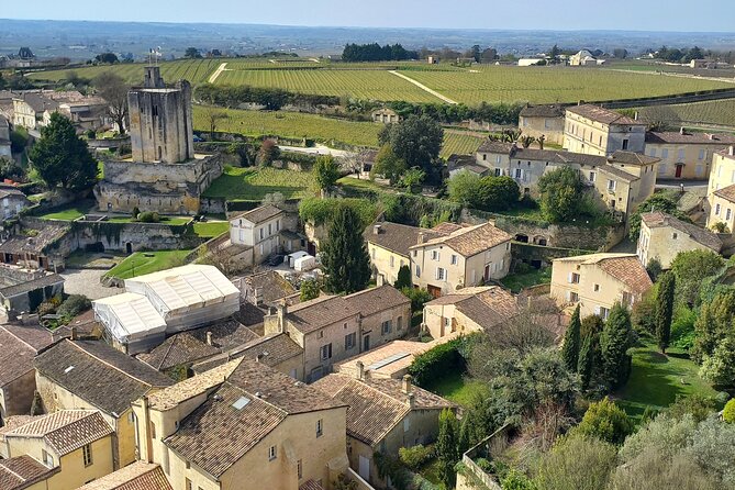 Saint-Émilion Wine Tour: Winery and Village - Wine day logistics that actually matter: van, group feel, and sound