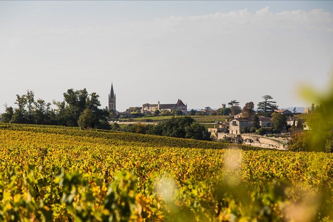 Saint-Émilion Wine Tour: Winery and Village - Price and value: is $72.09 a fair deal?