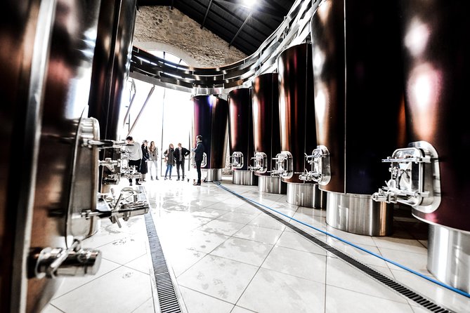 St-Emilion & Médoc Wine Day Tour: Chateaus, Tastings and Lunch - Médoc Highlights: Dauzac’s 1855 Legacy and Margaux at Paloumey