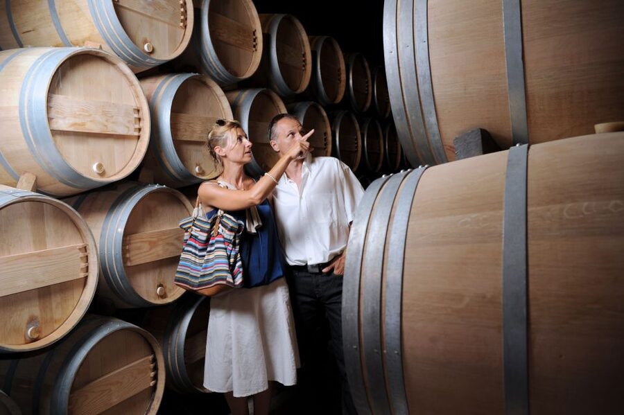 Taillan-Médoc: Château Visit and Wine Tasting in Bordeaux - Getting there from Bordeaux: buses and trams with short walks