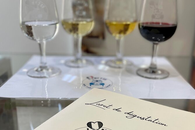 Tasting of 6 Bordeaux wines and pairing charcuterie & cheese - Meet Mathilde or Cécilia: A Training-Style Tasting, Not Just Sampling