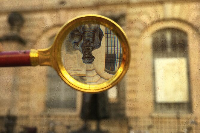 Urban Escape Game: In search of Goya's skull - The host energy and why it feels fun, not like a lecture