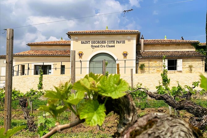 Visit and Tasting Château Saint-Georges Cote Pavie, Grand Cru Classé - Key Things You’ll Notice on This Visit