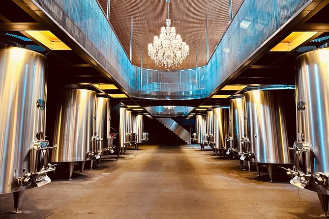 Visit Saint-Emilion and Pomerol:Vineyards, lunch and tastings included - Finishing with Pomerol (or another Saint-Émilion winery)