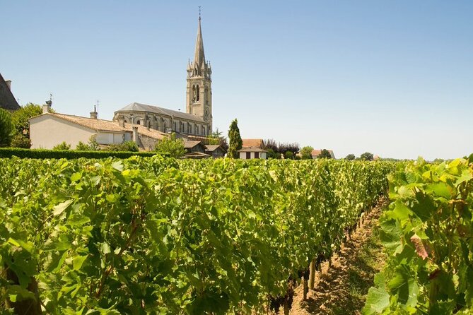 Visit Saint-Emilion and Pomerol:Vineyards, lunch and tastings included - Value check: why $174.53 can make sense here