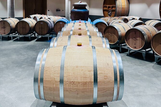 Visit Saint-Emilion and Pomerol:Vineyards, lunch and tastings included - Who this tour fits best (and who might want something else)