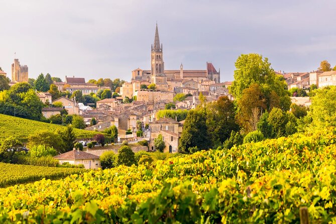 Visit Saint-Emilion and Pomerol:Vineyards, lunch and tastings included - What to bring so the day feels easy