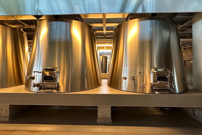 Visits and Tastings in the Médoc in Small Group with Meal - Key highlights before you go