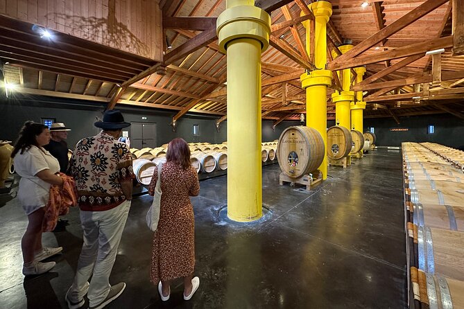 Visits and Tastings in the Médoc in Small Group with Meal - Who should book this Médoc chateau day (and who might skip it)